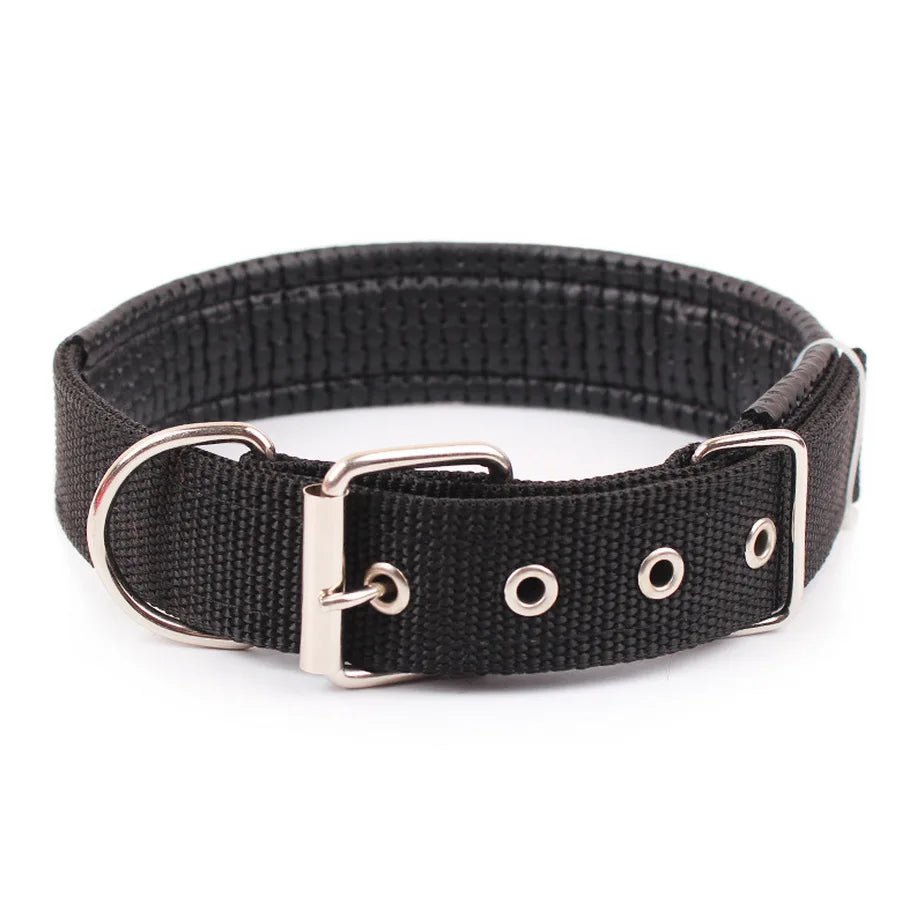 Collier pour Chien Robuste et Confortable - Balade.le.chien.com