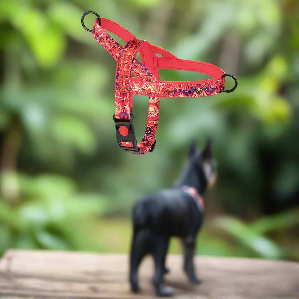 DogSafeHarness™ - Rouge d été - Balade.le.chien.com