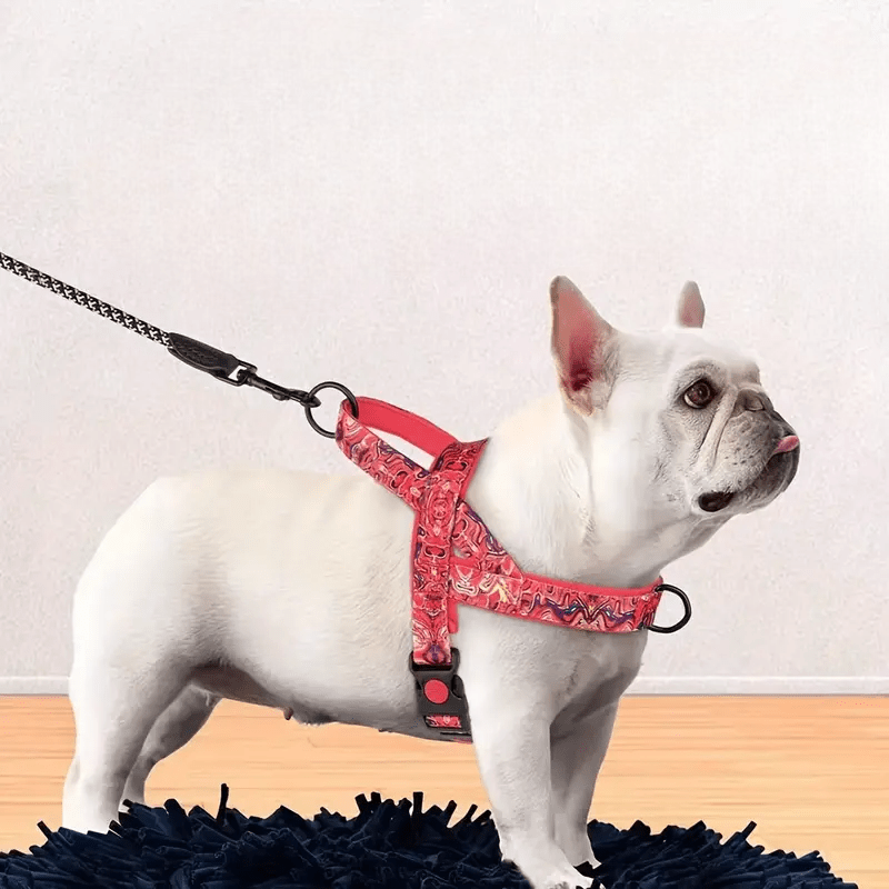 DogSafeHarness™ - Rouge d été - Balade.le.chien.com