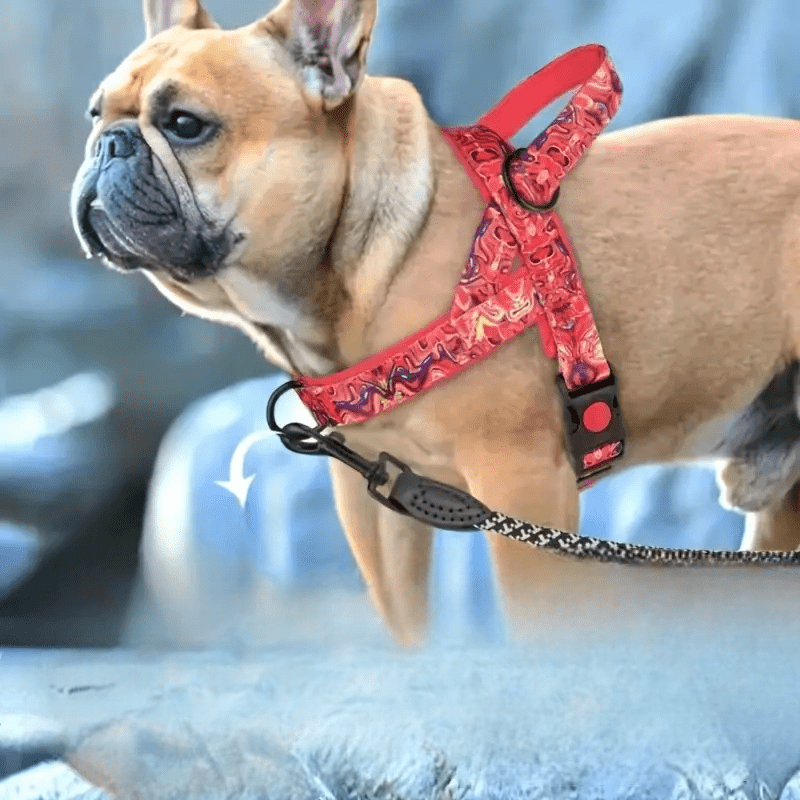 DogSafeHarness™ - Rouge d été - Balade.le.chien.com