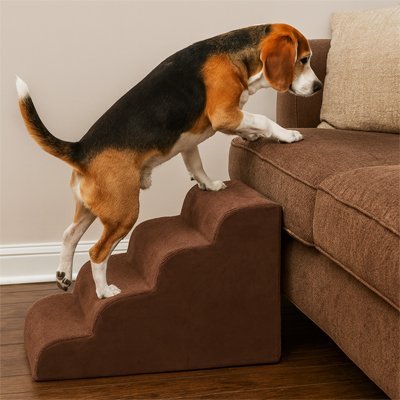 Escalier pour Chien | PawComfort - Balade.le.chien.com
