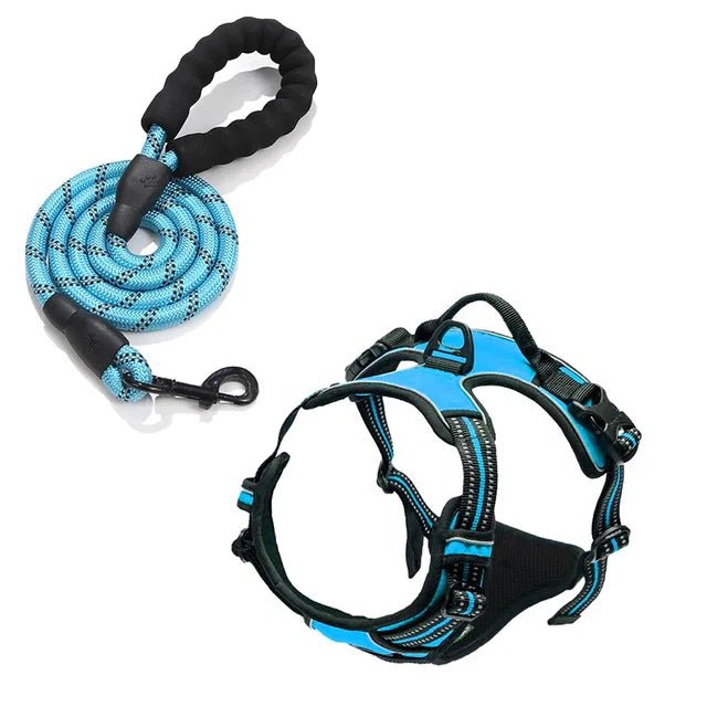 Harnais pour Chien Ultra - Confortable et Sécurisé - Balade.le.chien.com