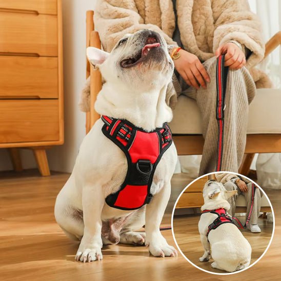 Harnais pour Chien Ultra - Confortable et Sécurisé - Balade.le.chien.com