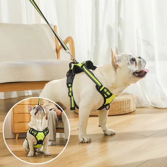 Harnais pour Chien Ultra - Confortable et Sécurisé - Balade.le.chien.com