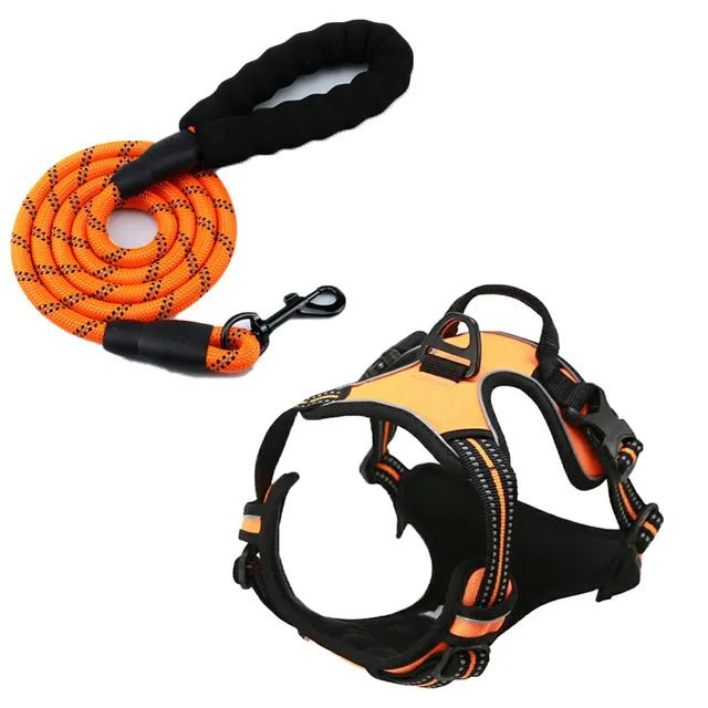 Harnais pour Chien Ultra - Confortable et Sécurisé - Balade.le.chien.com