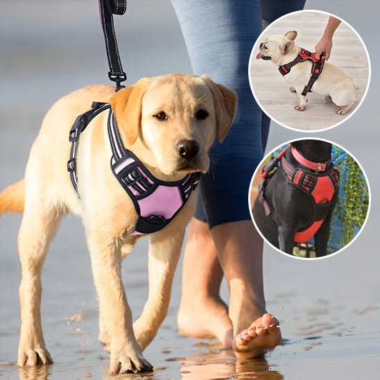 Harnais pour Chien Ultra - Confortable et Sécurisé - Balade.le.chien.com