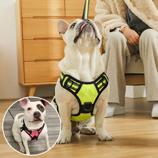 Harnais pour Chien Ultra - Confortable et Sécurisé - Balade.le.chien.com