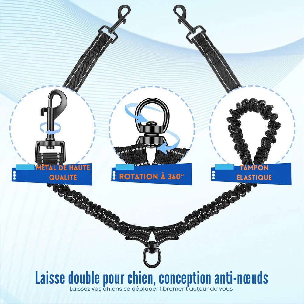 Laisse Double pour Chien Anti-EnchevĂȘtrement | PromenaDuo