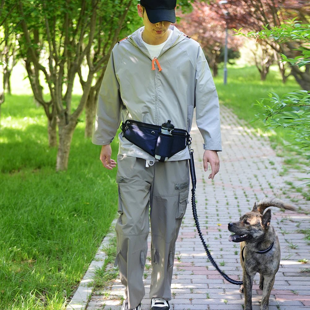 Laisse Mains Libres avec Pochette - Balade.le.chien.com
