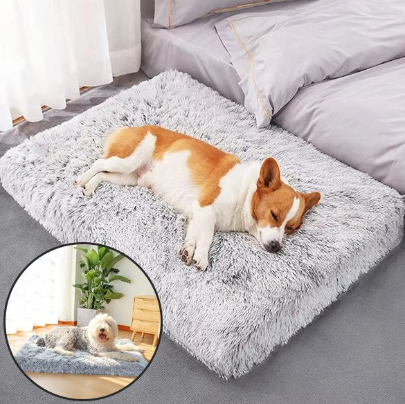 Tapis pour chien | Ultra-Moelleux