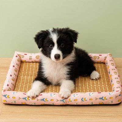 Tapis Chien rafraichissant | Rotin Naturel