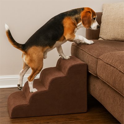 Escalier pour Chien | PawComfort