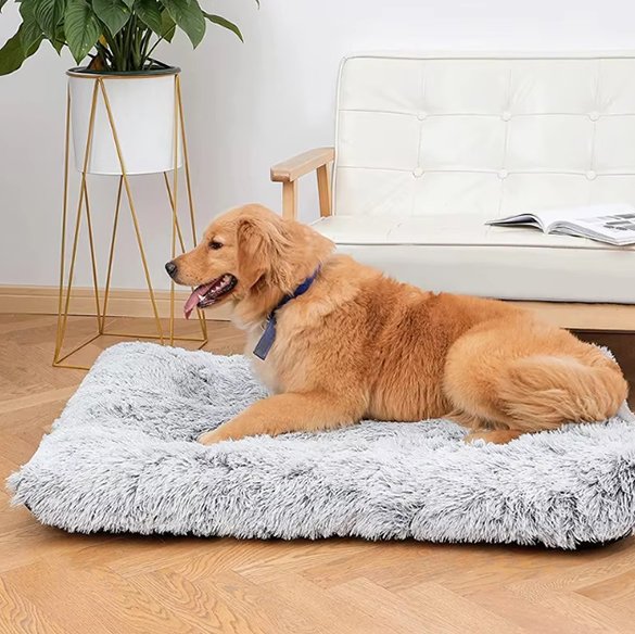 Tapis pour chien | Ultra-Moelleux
