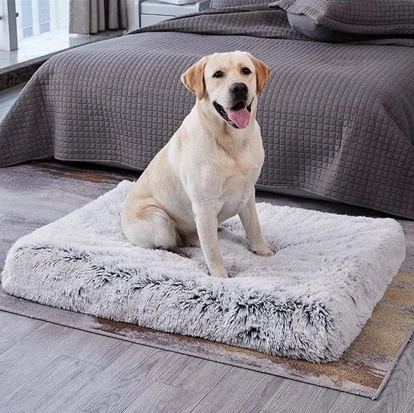 Tapis pour chien | Ultra - Moelleux - Balade.le.chien.com