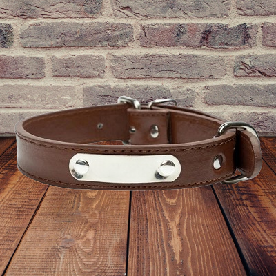 Collier pour chien en cuir™ - Marron