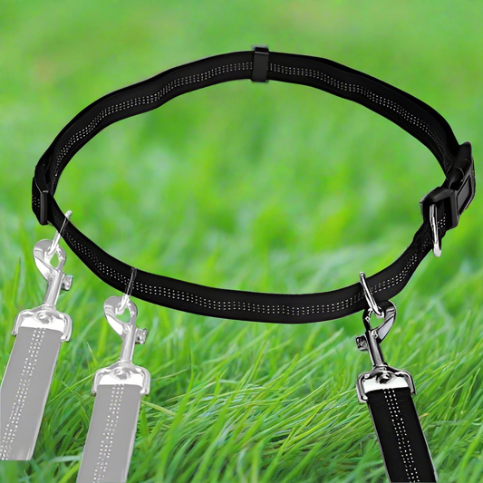 HandFreeDogLeash™ - Noir