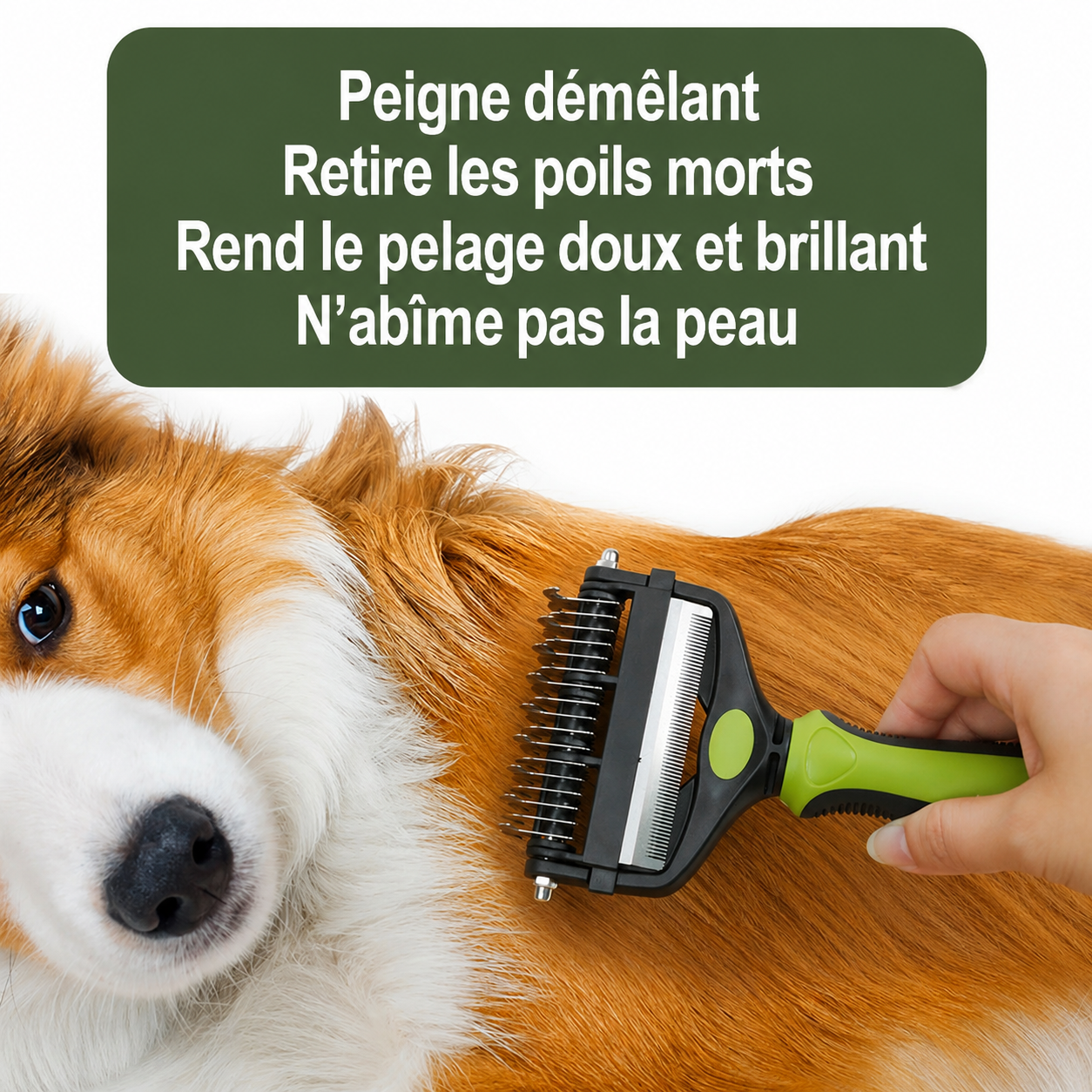Brosse de démêlage 3 en 1