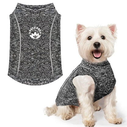 Chemise Anti-UV pour Chiot – Respirante et Séchage Rapide