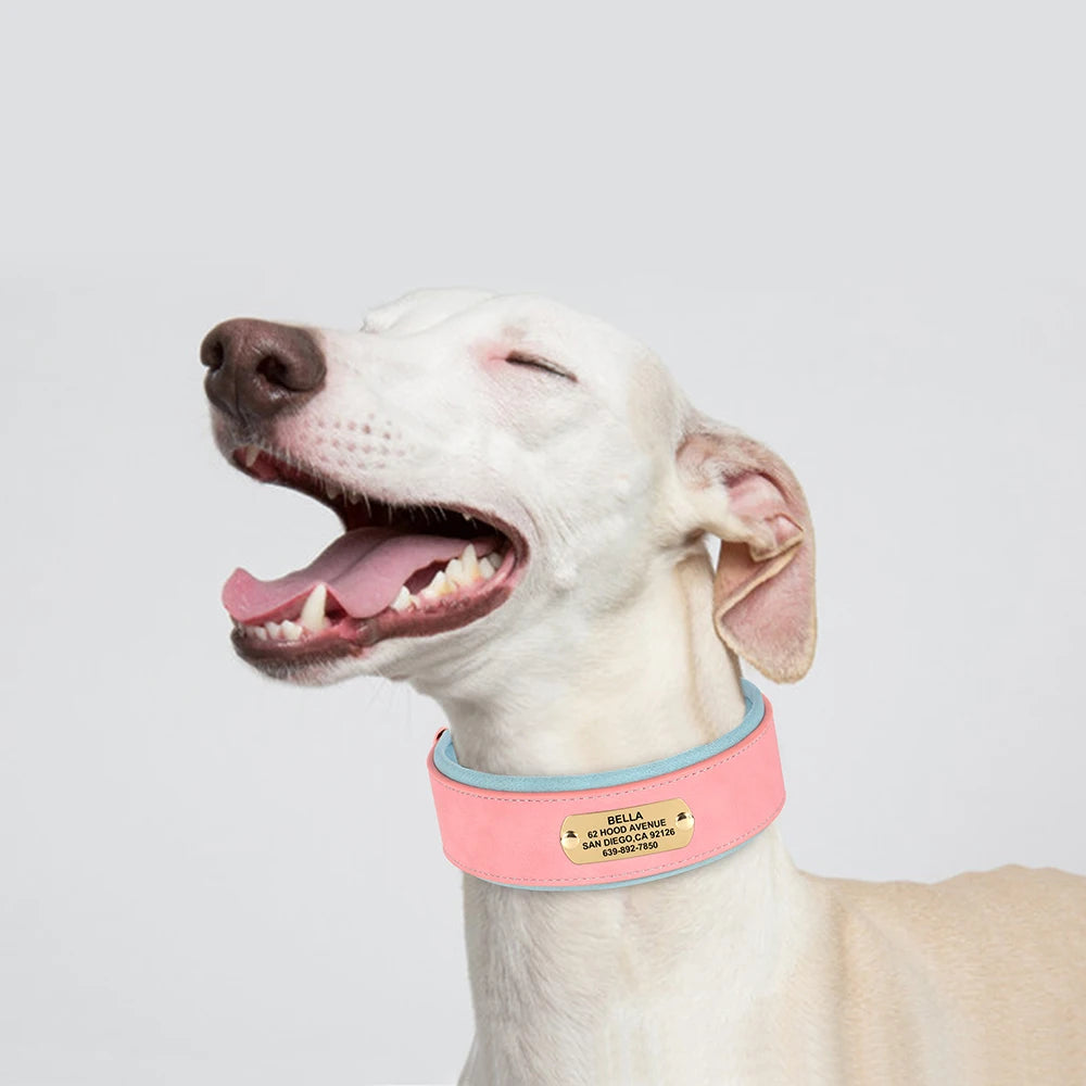 Collier en cuir pour chien | Personnalisé gravé