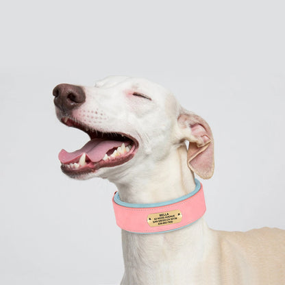Collier en cuir pour chien | Personnalisé gravé