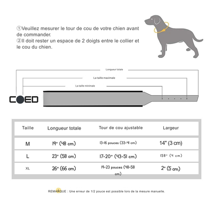 Collier en cuir pour chien | Personnalisé gravé