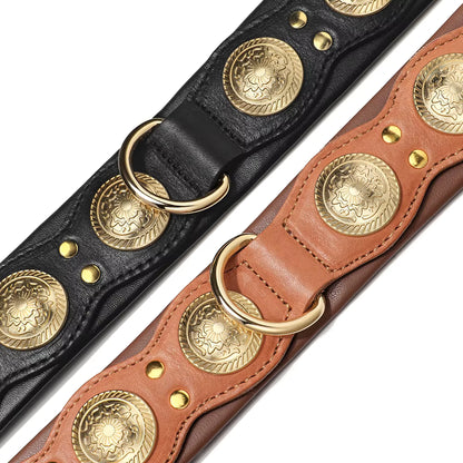Collier pour chien en cuir | Robuste et élégant