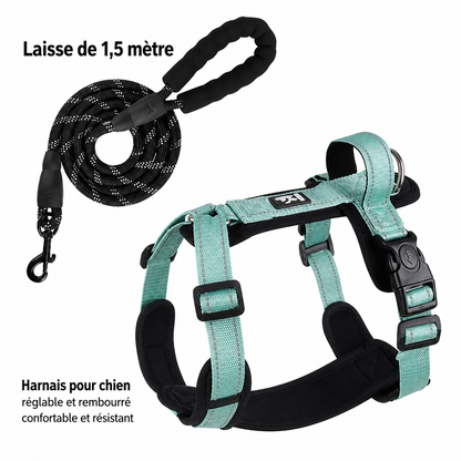 Harnais Réfléchissant pour Chien avec Poignée