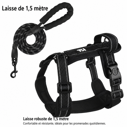 Harnais Réfléchissant pour Chien avec Poignée