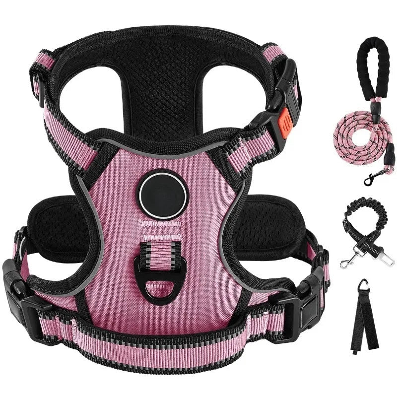 Ensemble Laisse Harnais Chien Oxford Réfléchissant | Balade le Chien