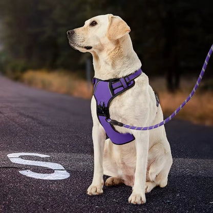 Ensemble Laisse Harnais Chien Oxford Réfléchissant | Balade le Chien