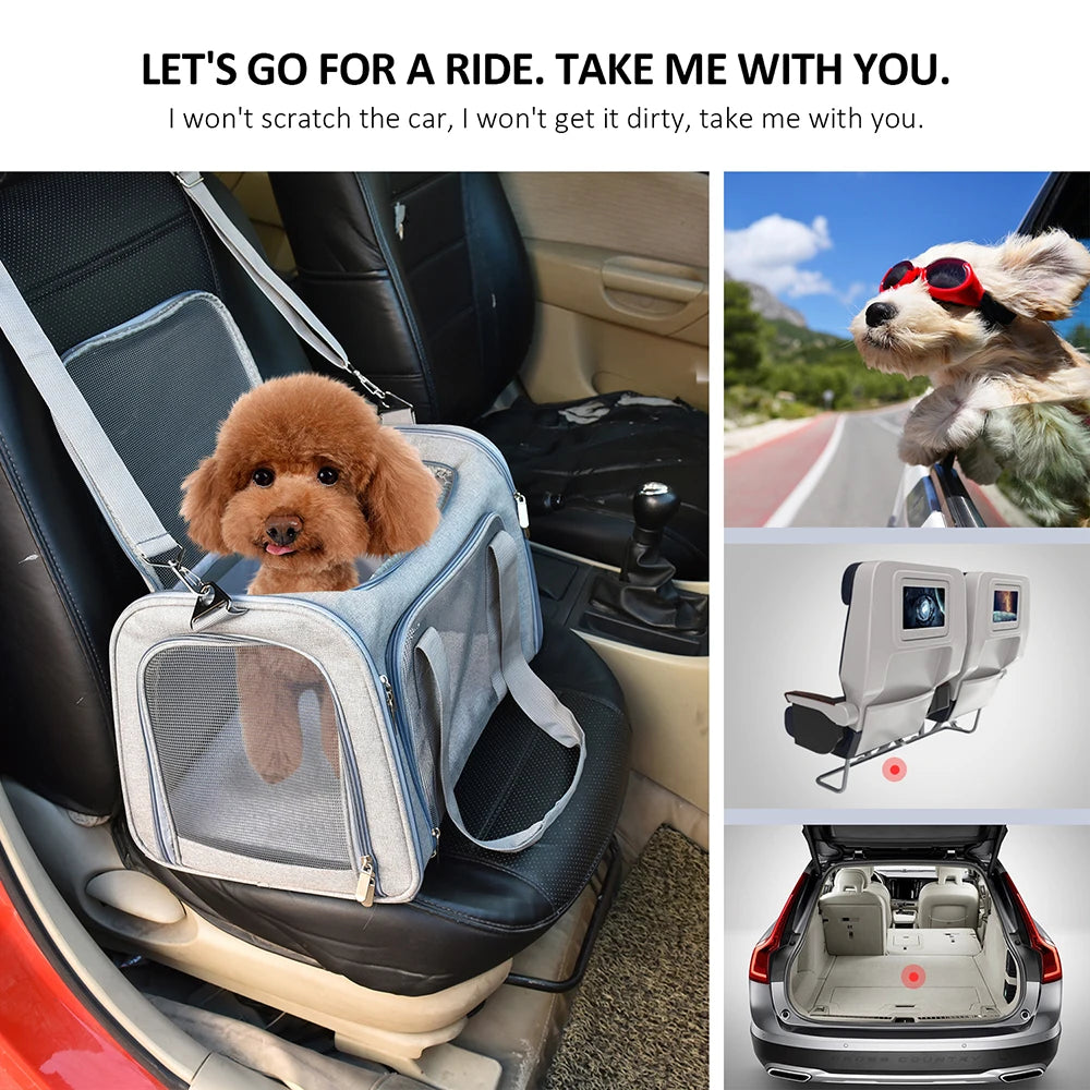 Sac de Transport  pour Chat et Chien