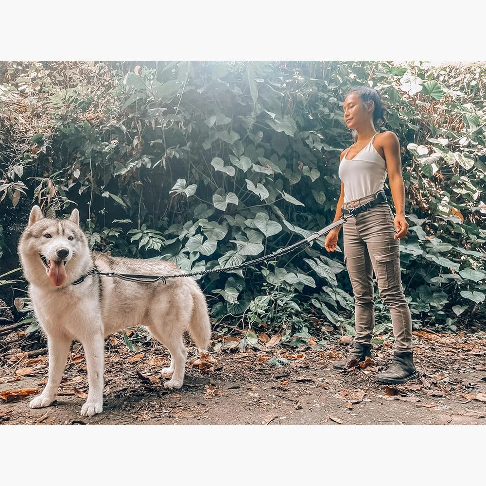 Laisse Mains Libres avec Ceinture