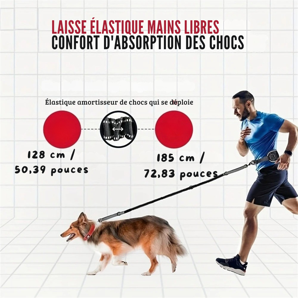 Laisse Mains Libres avec Ceinture