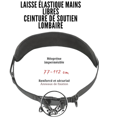 Laisse Mains Libres avec Ceinture