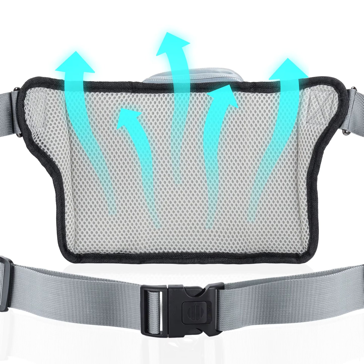 Laisse pour chien mains libres | Ergonomique