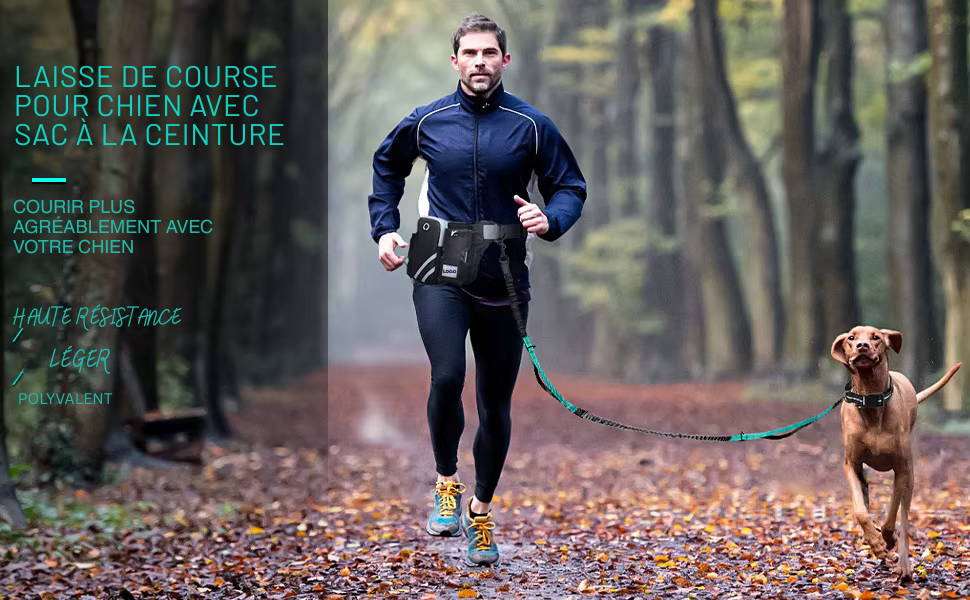 Laisse pour chien mains libres | Ergonomique