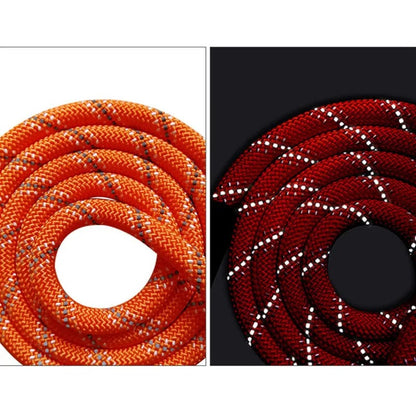 Laisse longue pour chien | Liberté Sécurisée