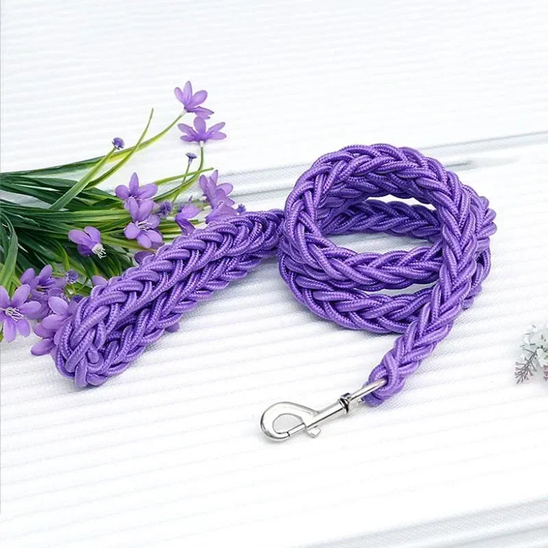 laisse pour chien tressé en nylon