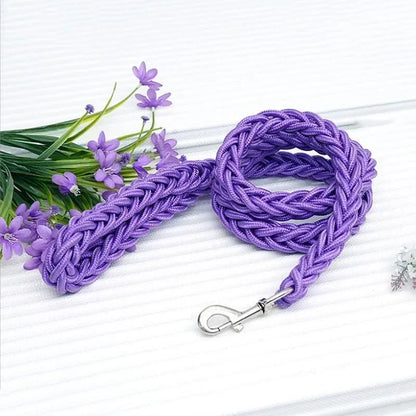 laisse pour chien tressé en nylon