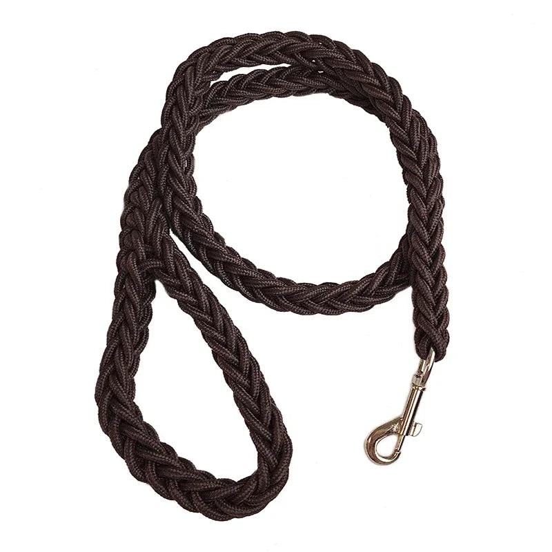 laisse pour chien tressé en nylon
