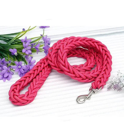 laisse pour chien tressé en nylon