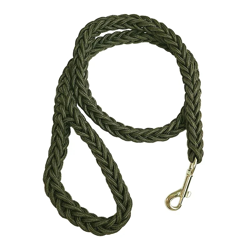 laisse pour chien tressé en nylon