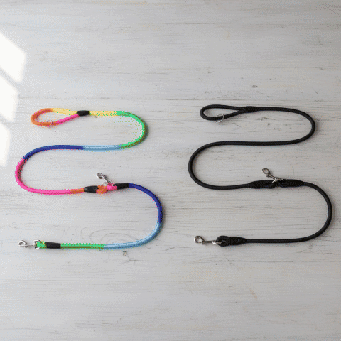 Laisse pour chien | Robuste & Confortable