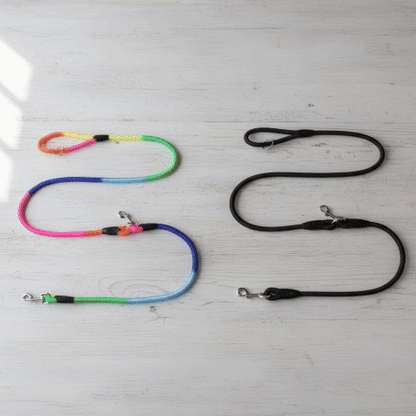 Laisse pour chien | Robuste & Confortable