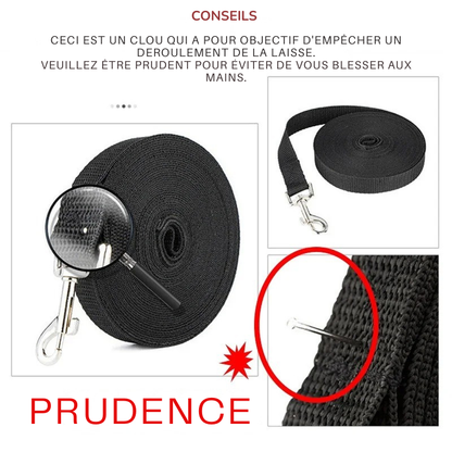 longue laisse pour chien | Robuste et Confortable