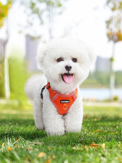 Harnais d'Été pour Chien : Confort et Fraîcheur