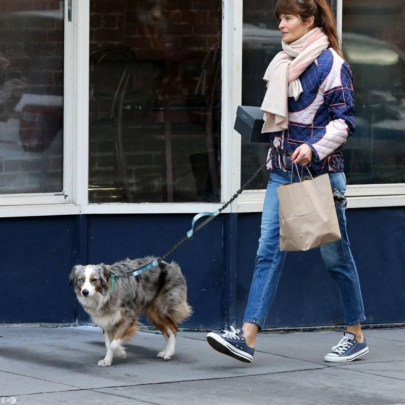 Laisse rétractable pour chien mains libres