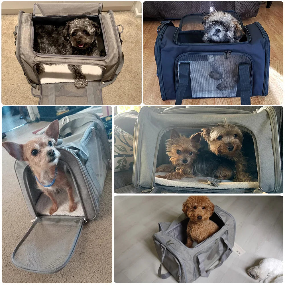 Sac de Transport  pour Chat et Chien