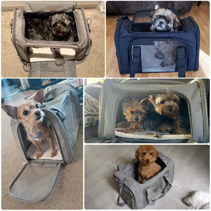 Sac de Transport  pour Chat et Chien