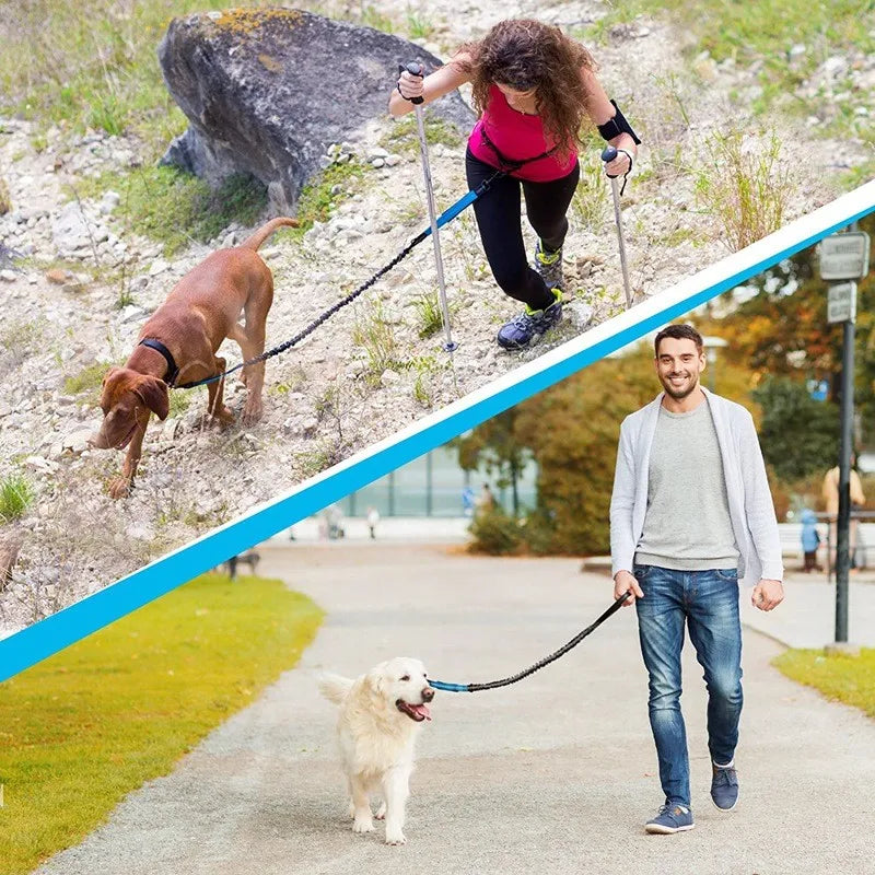 Laisse rétractable pour chien mains libres